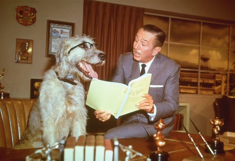 ap651223038-1704137826 This is a December 23, 1965 photo of film animator and producer Walter Disney, in his office pretending to read a script with a dog, seated behind Disney's desk. (AP Photo)