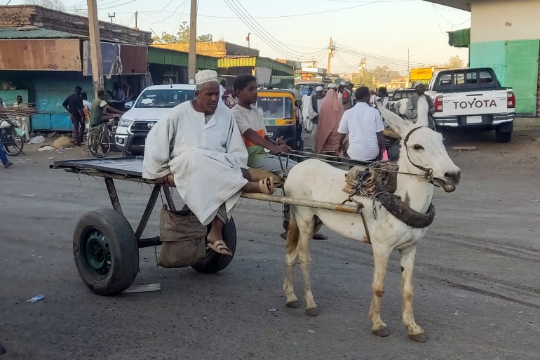 (FILES) A man steers his donkey-drawn carriage, the preferred mode of transport for people and goods, as fuel prices rise due to internal fighting, in Gedaref state in eastern Sudan on February 20, 2024. - In war-torn Sudan, where chaos and fuel shortages have ground normal motor traffic to a halt, people once more rely on donkey carts -- even for urgent trips to the hospital. (Photo by AFP)