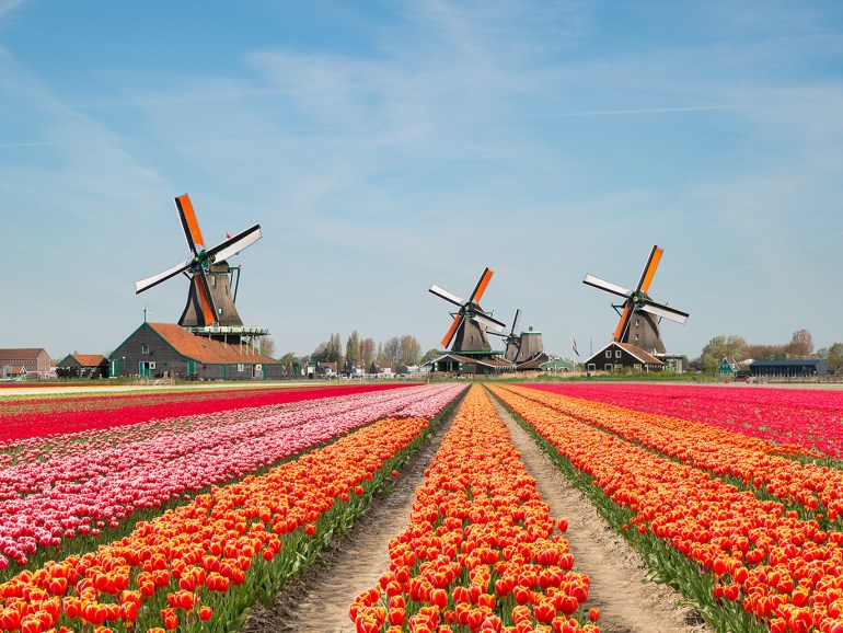 ee631d21-ed5b-44e6-b14d-6cc04f73752e المسافر - أجمل ما في هولندا