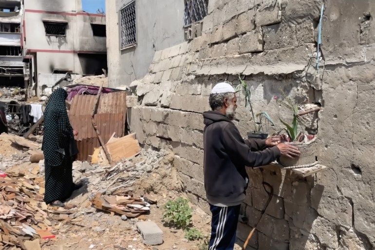 d8b4d8b4-1713606798 عائلة غزية تكافح للبقاء على أنقاض منزلها المدمر