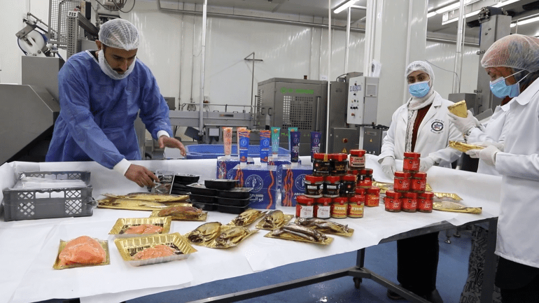 9889983-1715262182 الرنجة المصرية.. أسماك ذهبية على موائد 32 دولة