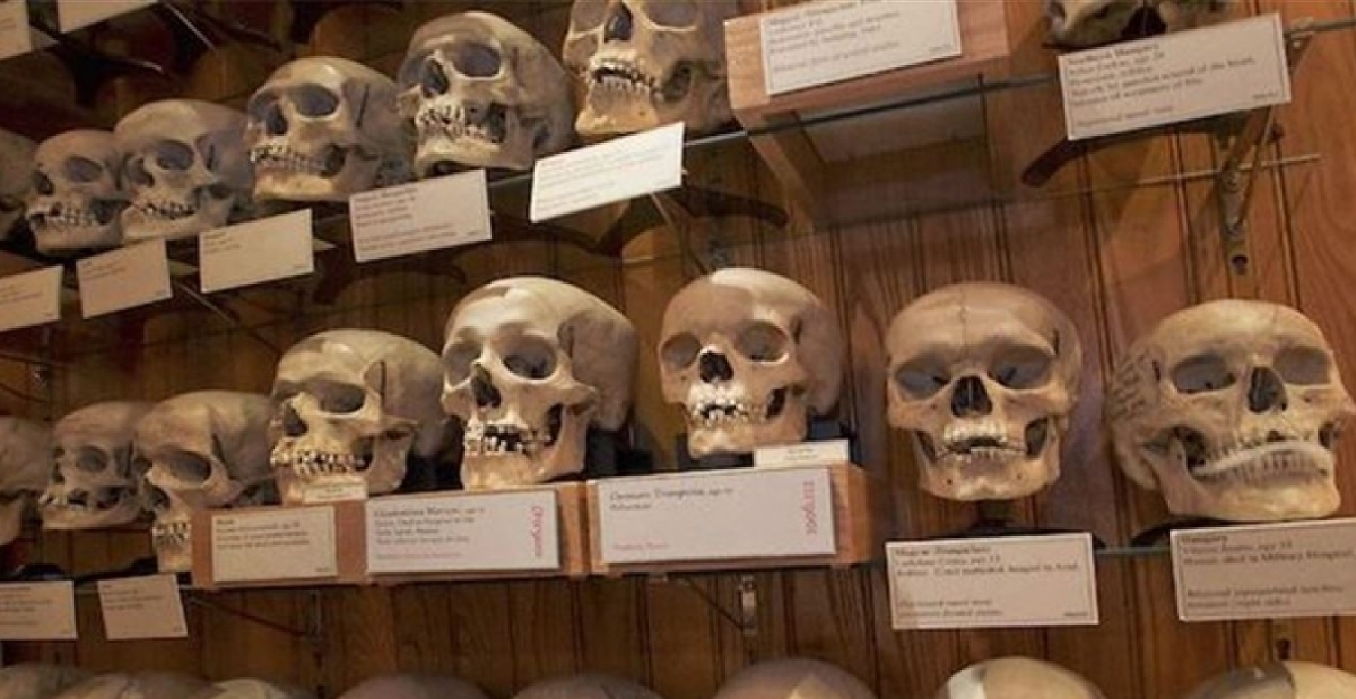 d8a7d984d8acd8b2d8a7d8a6d8b1-d8acd985d8a7d8acd985