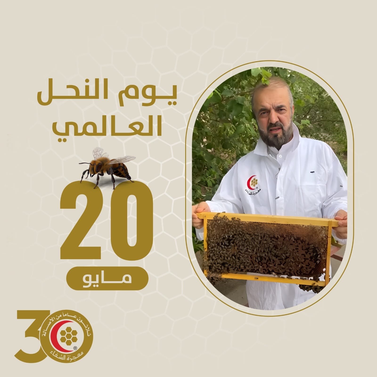 «معجزة الشفاء»  تنصح النحالين بضرورة فحص النحل المستورد وتوفير مناحل صحية
