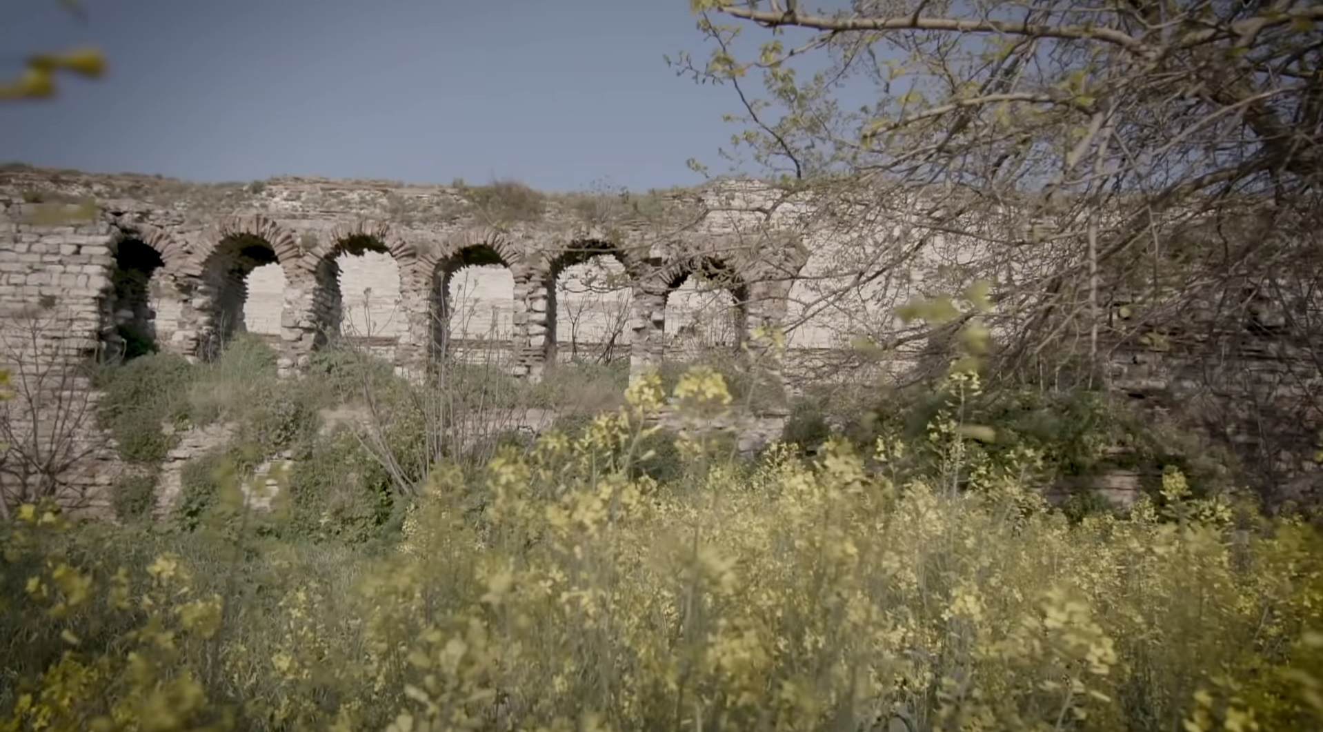 d98ad8add982-d984d984d985d8b3d984d985d98ad986-d8a7d986-d98ad981d8aed8b1d988d8a7