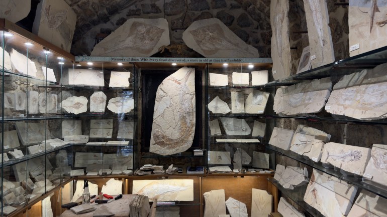 1-1-1717928515 متحف الأسماك المتحجرة "ذاكرة الزمن" في سوق جبيل القديم يقع داخل مبنى تاريخي يعود لأكثر من 300 عام