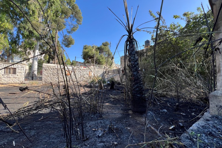 القدس-10 يونيو- - حريق يلتهم حديقة بيت الشرق