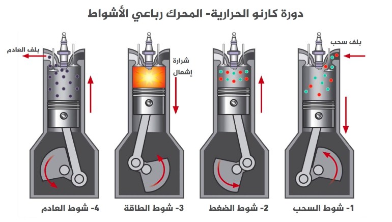 d8afd988d8b1d8a9-d983d8a7d8b1d986d988-1692618215