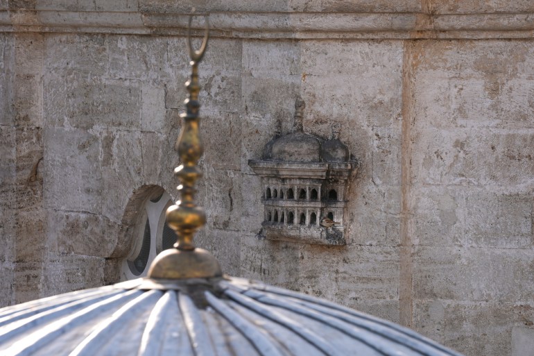 تُشكل "قصور الطيور" تحفة معمارية فريدة، تُزين جدران بعض المساجد والمدارس والمقابر التي ترجع للفترة العثمانية.ولم تكن هذه الأعشاش، التي تأخذ شكل القصور، مجرد مأوى للطيور، بل كانت رمزا للتعاطف مع الكائنات الحية وانعكاسًا لجماليات الفن المعماري العثماني.وأُنشئت قصور الطيور منذ القرن السادس عشر الميلادي بأماكن مُختارة على جوانب المباني الأثرية، حيث تتمتع بِأشعة الشمس الدافئة وتكون محمية من هبوب الرياح، لتوفير مأوى مثالي للطيور مثل العصافير والحمام والزرزور. ( Adem Kutucu - وكالة الأناضول )