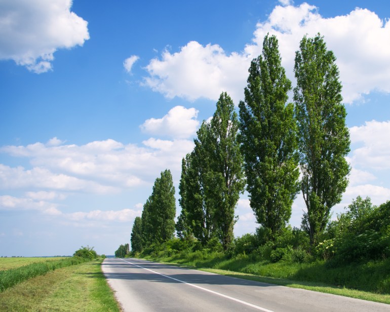 shutterstock_103451558-1717323155 Empty freeway with poplar trees