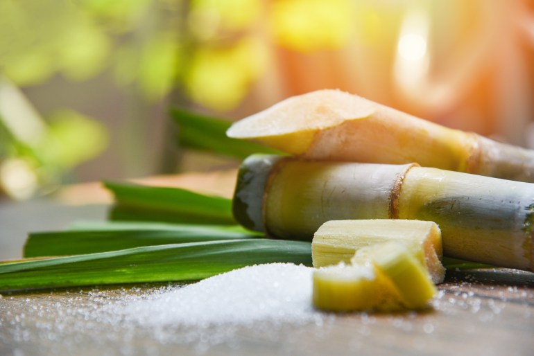shutterstock_1361674268-1719680920 White sugar and sugar cane on wooden table and nature background