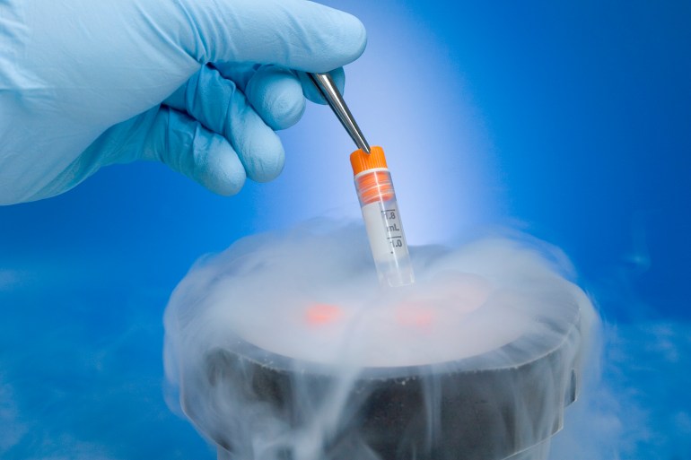 gettyimages-172640159-1723463070 Cryopreservation of samples.