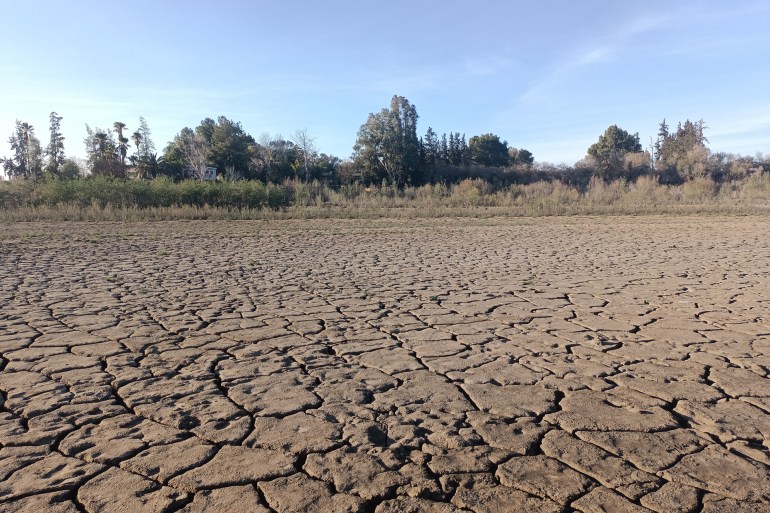 img20240131173805-1-1723627615 جانب من زحف الجفاف على "ضاية الرومي" ضواحي مدينة الخميسات قرب العاصمة المغربية الرباط
