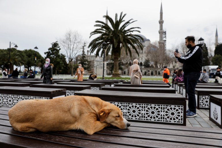 reu-ters-31-1722876072 A stray dog rests as Muslims wait the time to eat their iftar (breaking fast) meals in front of the Ottoman-era Sultanahmet mosque, also known as the Blue Mosque, on the first day of the holy fasting month of Ramadan in Istanbul, Turkey April 13, 2021. REUTERS/Umit Bektas