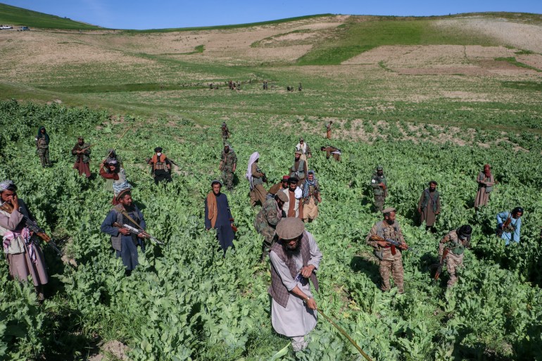 aestdrugs-1726144742