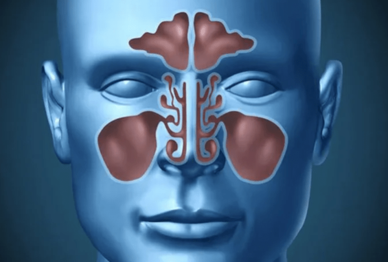 d8a7d984d8acd98ad988d8a8-d8a7d984d8a7d986d981d98ad8a9-2-1726906881