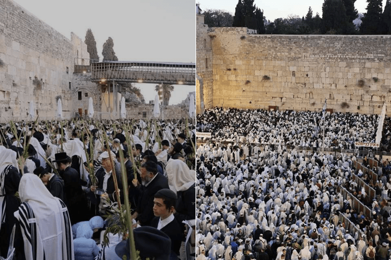 حمل القرابين النباتية القدس- مستوطنون في ساعة البراق - عيد العرش