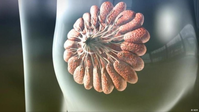 07643a25-bb76-4694-b8dd-f44af99295df دراسة- الناجيات من سرطان الثدي قد يعانين من مشكلات نفسية