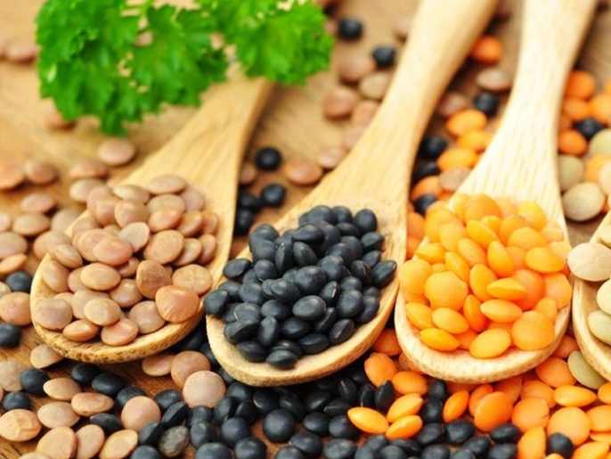 08999bfd-2e00-4dec-ab98-d23f767800e0 العدس: موائد الأغنياء تحتفي بـ"لحم الفقير"!