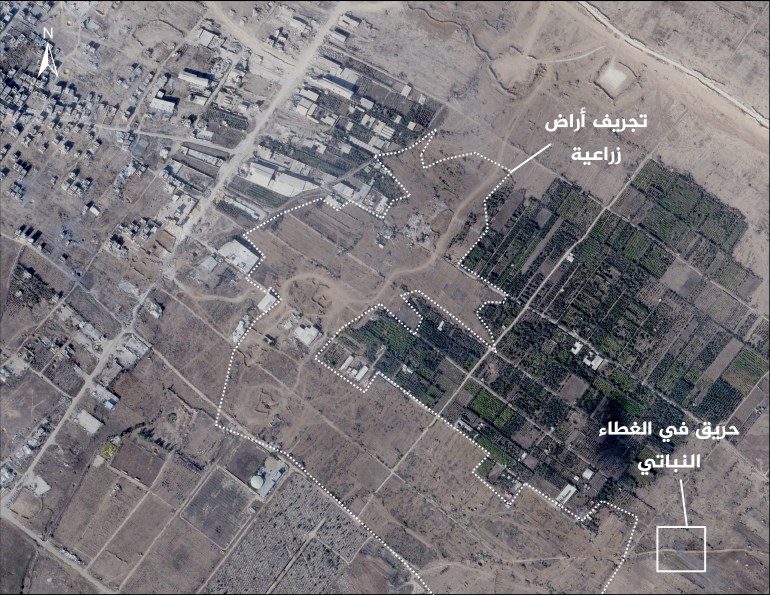 25-1731906480 صورة توضح تجريف واحتراق للغطاء النباتي شرق جباليا- بعد- محددة- التاريخ 12-11-2024- المصدر ” Planet Labs PBC ”