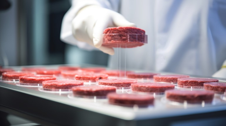 adobestock_593741517-1731586437 Artificial protein meat grow in laboratory, cell-based synthetic meat , generative by ai side view أدوبي ستوك