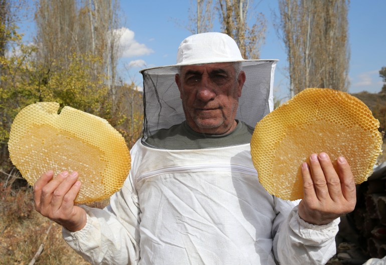 allmy-1732718413 في أعالي هضاب وجبال ولاية بِتليس التركية يسطّر عسل "قره قوان" الطبيعي قصة نجاح استثنائية، مُحققًا مكانة مرموقة بين أبرز نظرائه في العالم. عسل "قره قوان" الطبيعي يجنى وفقًا لأساليب إنتاج تقليدية فريدة ويستمد جودته الاستثنائية من بيئة بِتليس (شرق) الطبيعية النادرة وتنوعها النباتي الفريد، ليحقق طلبًا متزايدًا في الأسواق المحلية والعالمية. وفي فصل الربيع، يتوجه مربو النحل إلى الهضاب والمرتفعات، ويضعون خلايا النحل المصنوعة يدويًا من أغصان الصفصاف المغطاة بالطين أو السماد الطبيعي في مواقع مختارة بعناية. ( Şener Toktaş - وكالة الأناضول )