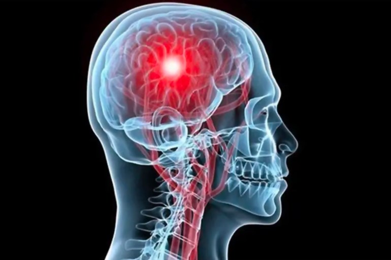 djioo دراسة: “محادثة” بين الدماغ والخلايا الدهنية قد تكون السر وراء فقدان الوزن بشكل دائم الجزيرة الوثائقية