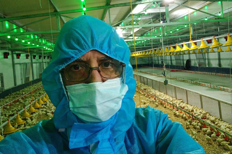 sick3-1732118682 الطبيب البيطري سعود الشوا.jfif