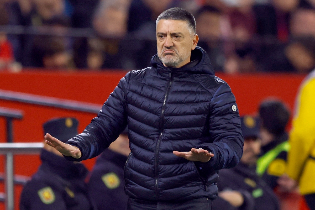 390942 المدرب خافيير بيميينتا