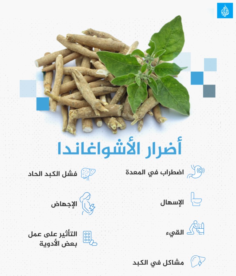 d8a7d984d8a3d8b4d988d8aad8bad8aad986d8afd8a7-1704625437 أضرار الأشواغاندا (الجزيرة)