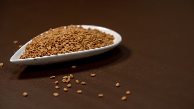 Fenugreek seeds on white bowl on gray background