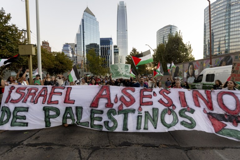 37384758-1742369543 Pro-Palestinian demonstration in Santiago