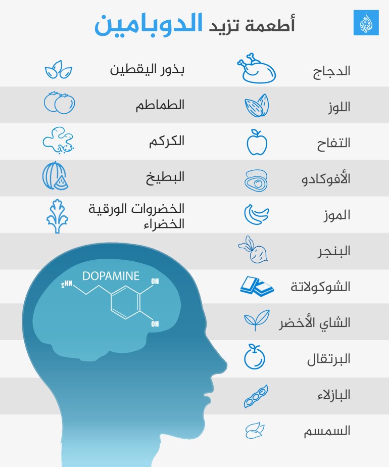 أطعمة تزيد الدوبامين-1699792031