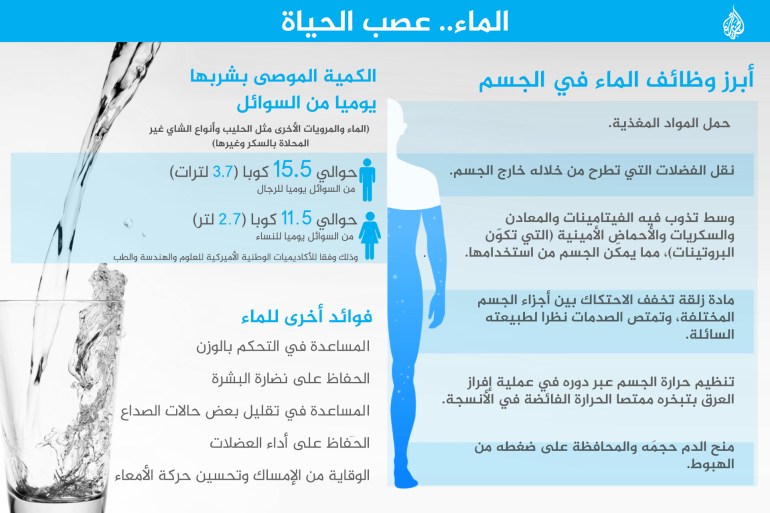 ماء مياه المياه شرب الماء الماء.. عصب الحياة، فوائد الماء، إنفوغراف، water