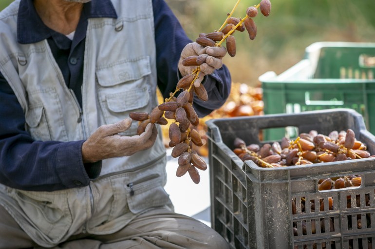 gettyimages-1229161212-1742673347
