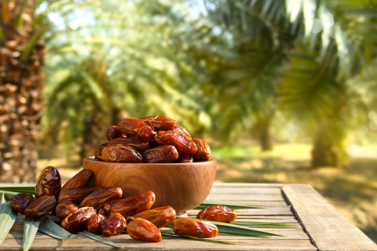 Dried dates fruits with dates palm plantation background.