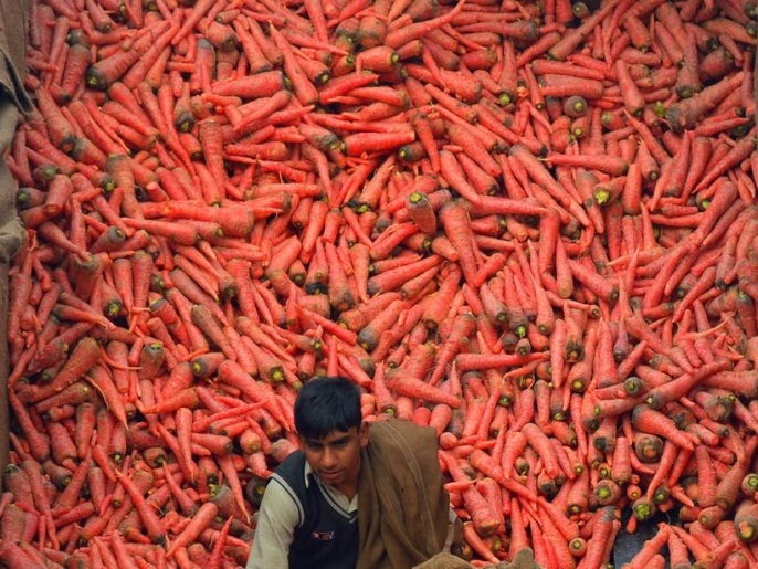 961dffeb-eeba-4b1c-aae4-5a80188ac291 A Pakistani vegetable vendor sells carrots at a market in Lahore on February 10, 2014. Pakistan was on track to receive a third loan package worth 550 million dollars from the International Monetary Fund, the Washington-based lender indicated, saying the nation's economic recovery was gathering pace. The IMF approved a $6.7 billion bailout loan package for Pakistan in September 2013 to help the struggling nuclear-armed country achieve economic reforms, particularly in its troubled energy sector. AFP PHOTO/Arif ALI