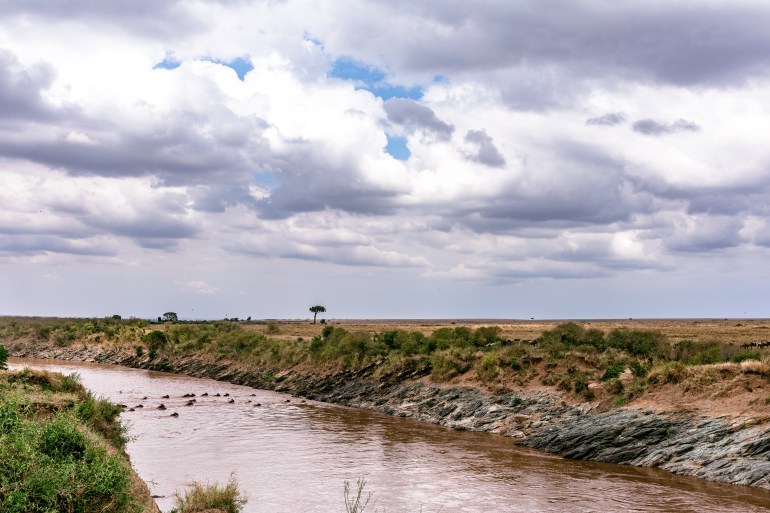 mara-river-7463499-1729870502