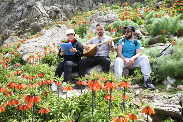 تركيا.. جبال سيرت تترصع بأزهار "التوليب المقلوب"