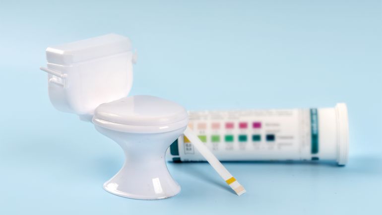عدد مرات دخول الحمام يوميا يشير إلى احتمالية الإصابة بالسكري ومرض القلب Miniature toilet and strips for detecting ketones and glucose in urine. Saint Petersburg, Russia - 8 Nov 2021 shutterstock_2073527348