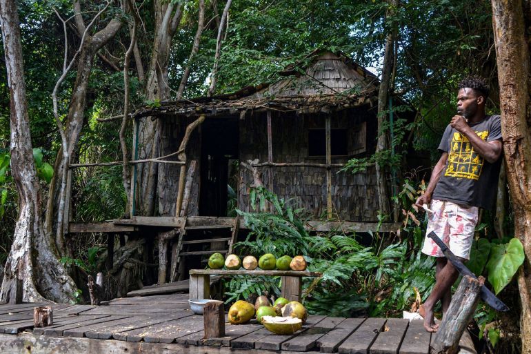 86268042-1-1749391497