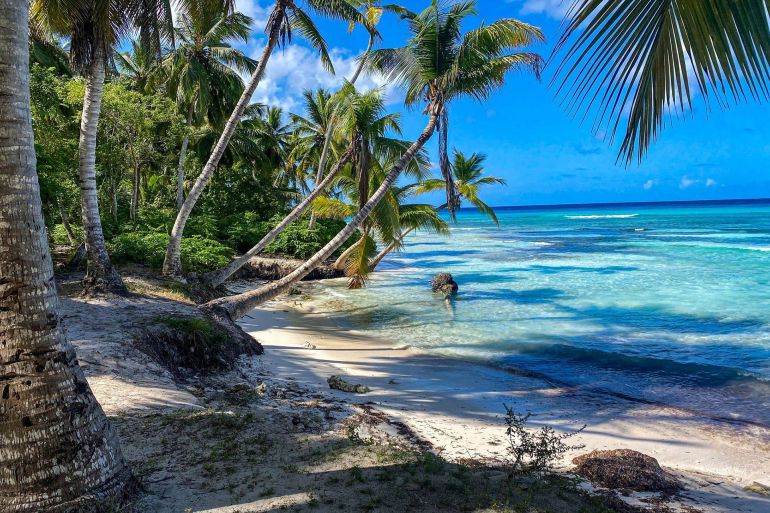 86268042-3-1749391514