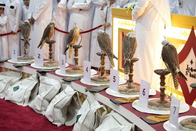 أصحاب الصقور يتنافسون على عرض صقورهم وبيعها بأعلى سعر