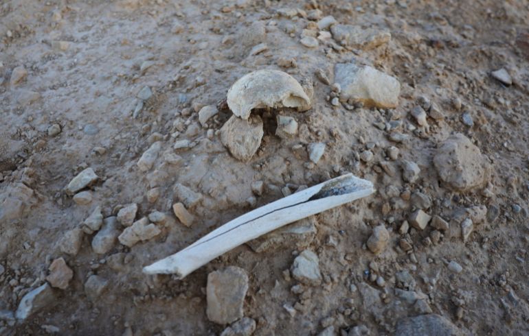 reuters_68f263a6-1760715686 A bone fragment that experts say is likely part of a human leg, lies on the surface of the mass grave in the desert near the town of Dhumair, Syria, September 9, 2025. A Reuters investigation found that the Assad government secretly trucked thousands of bodies to the site. REUTERS/Khalil Ashawi To match Special Report SYRIA-SECURITY/MASS GRAVES