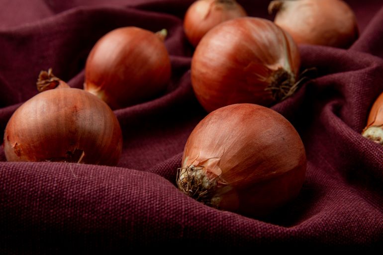 Close-up view of onions on burgundy background فري بيك