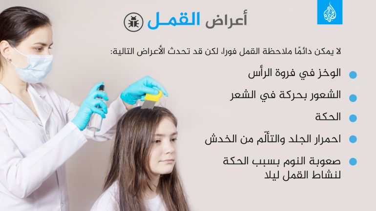 أعراض القمل القمل قمل