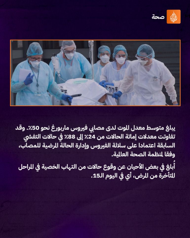 d8ba انفوجراف (فيروس ماربورغ)