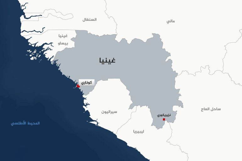 d8bad98ad986d98ad8a7-1733117071 تصميم خاص خريطة غينيا - نزيريكوري