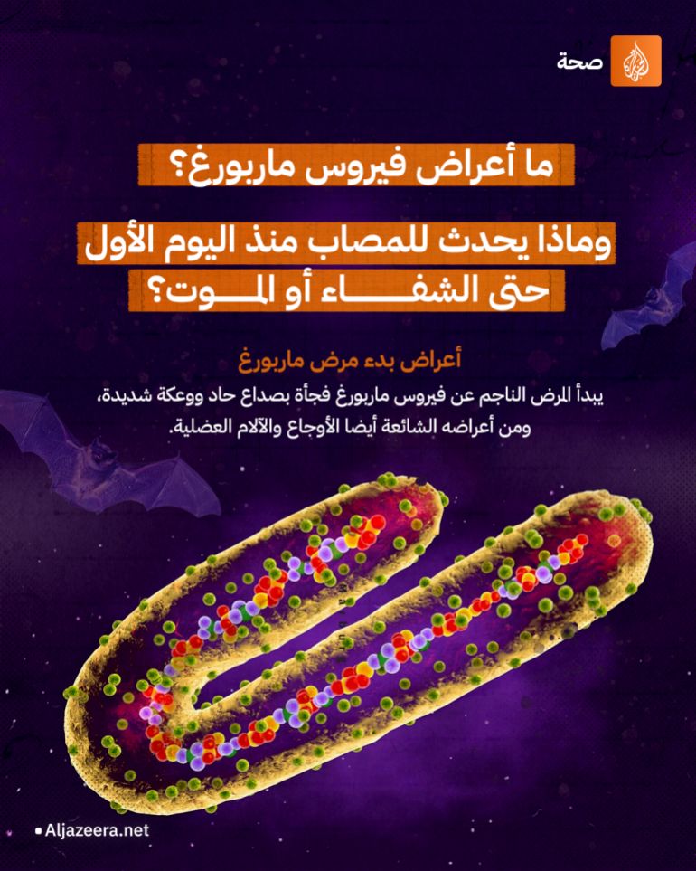 d987 انفوجراف (فيروس ماربورغ)