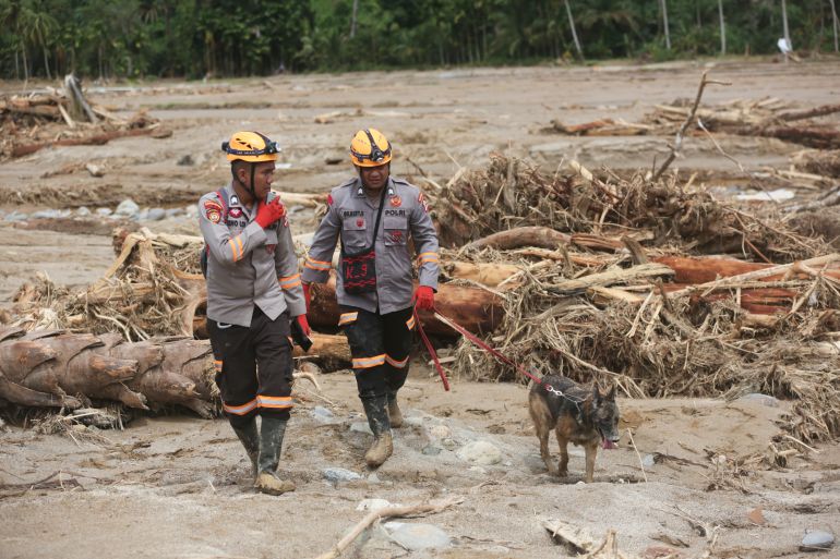 ap_692ff21e85da4-1764749854 Rescuers lead a sniffer dog during the search for flood victims in Batang Toru, North Sumatra, Indonesia, Tuesday, Dec. 2, 2025. (AP Photo/Binsar Bakkara)