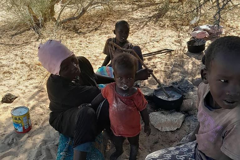 صور نازحين من مناطق امبرو ـ وكرنوي والطينة الي احدي الوديان القريبة من الحدود السودانية التشادية المصدر ـ الجزيرة نت